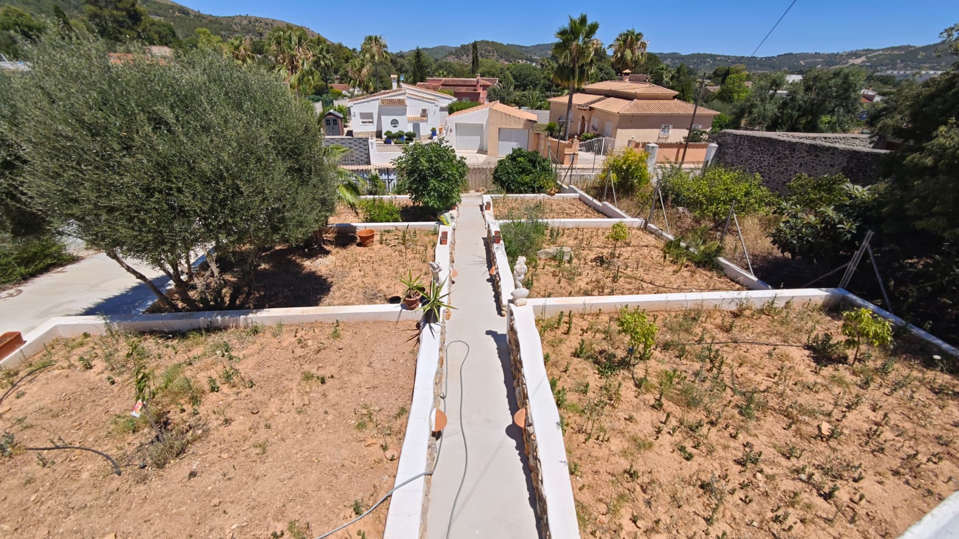 Jardín aterrazado con bancales de obra encalados, olivo y caminos de hormigón